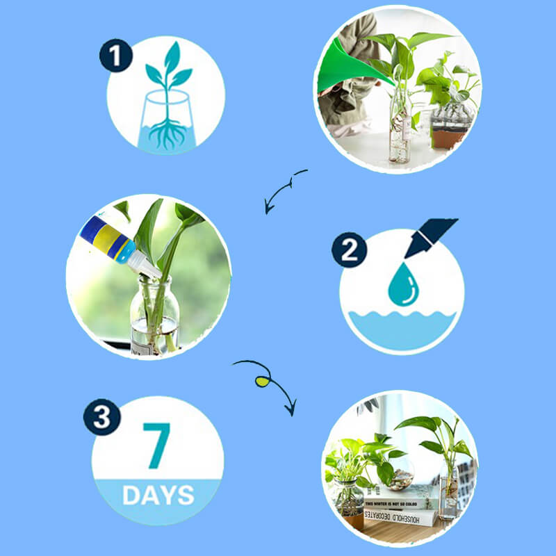 Solution nutritive végétale tout usage — Favorise la croissance et la vitalité !