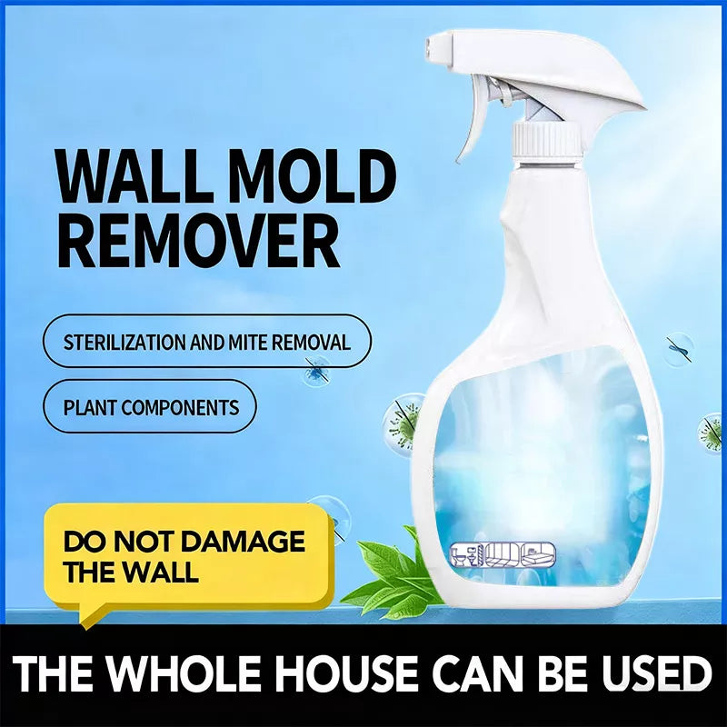 Spray anti-moisissures haute efficacité 2026 - Prévient la réapparition des moisissures