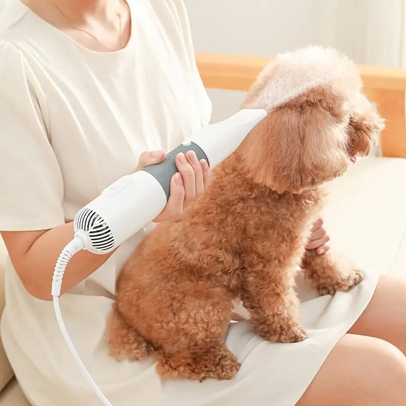 Sèche-poils et brosse démêlante 3 en 1 pour animaux de compagnie