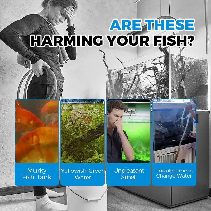 Système de filtration automatique d'aquarium Final Day – Multi-étapes, ultra-silencieux, prêt à l'emploi