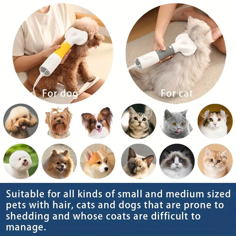 Sèche-poils et brosse démêlante 3 en 1 pour animaux de compagnie