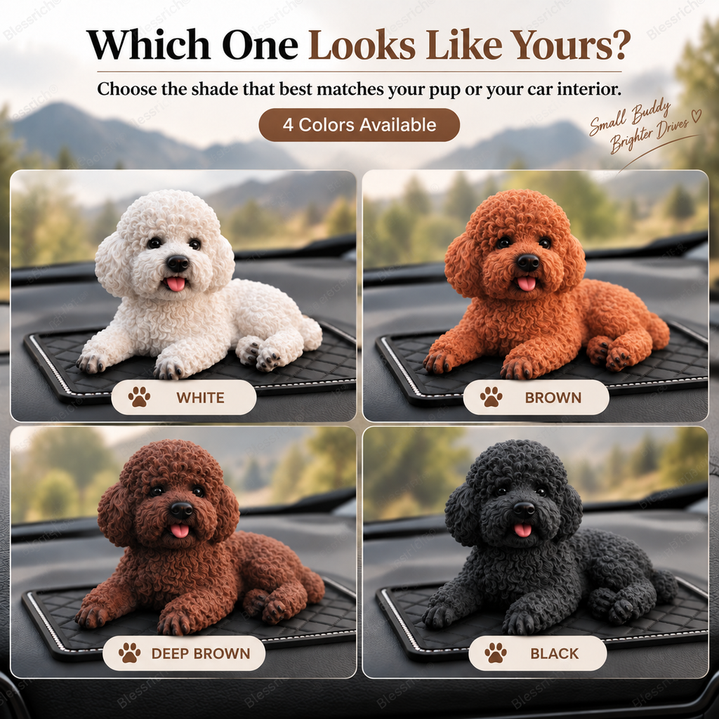 Ornement de voiture Caniche - L'accessoire de tableau de bord le plus mignon