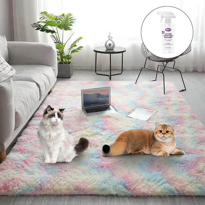 Tapis de sol en peluche dégradé de couleurs