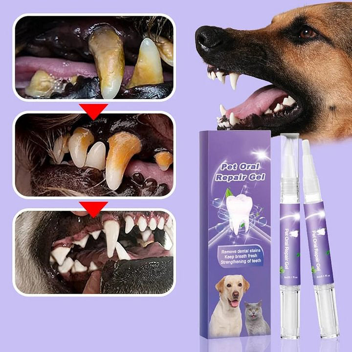 Gel dentaire réparateur pour animaux avec brosse à dents