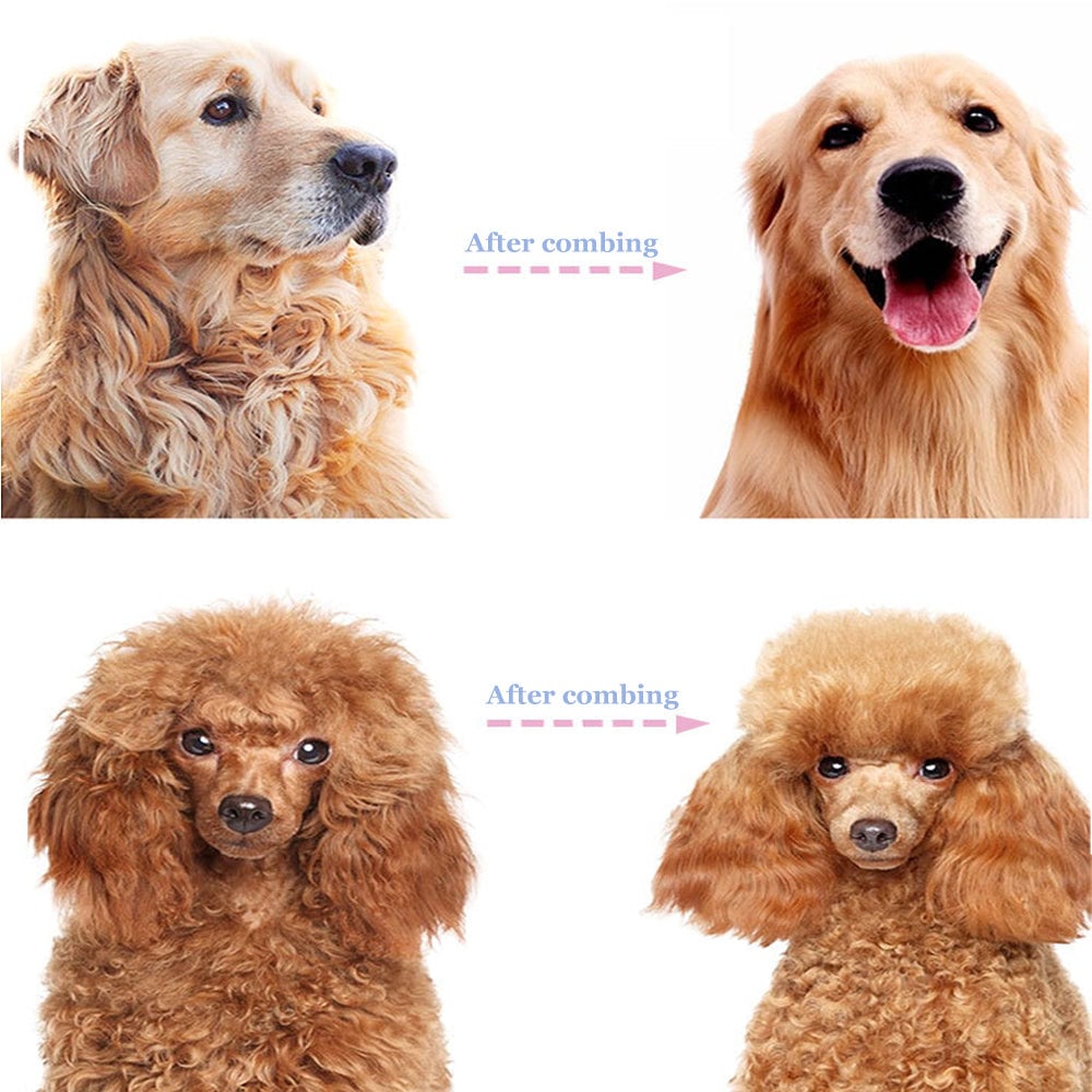 Outil de démêlage professionnel pour chiens et chats