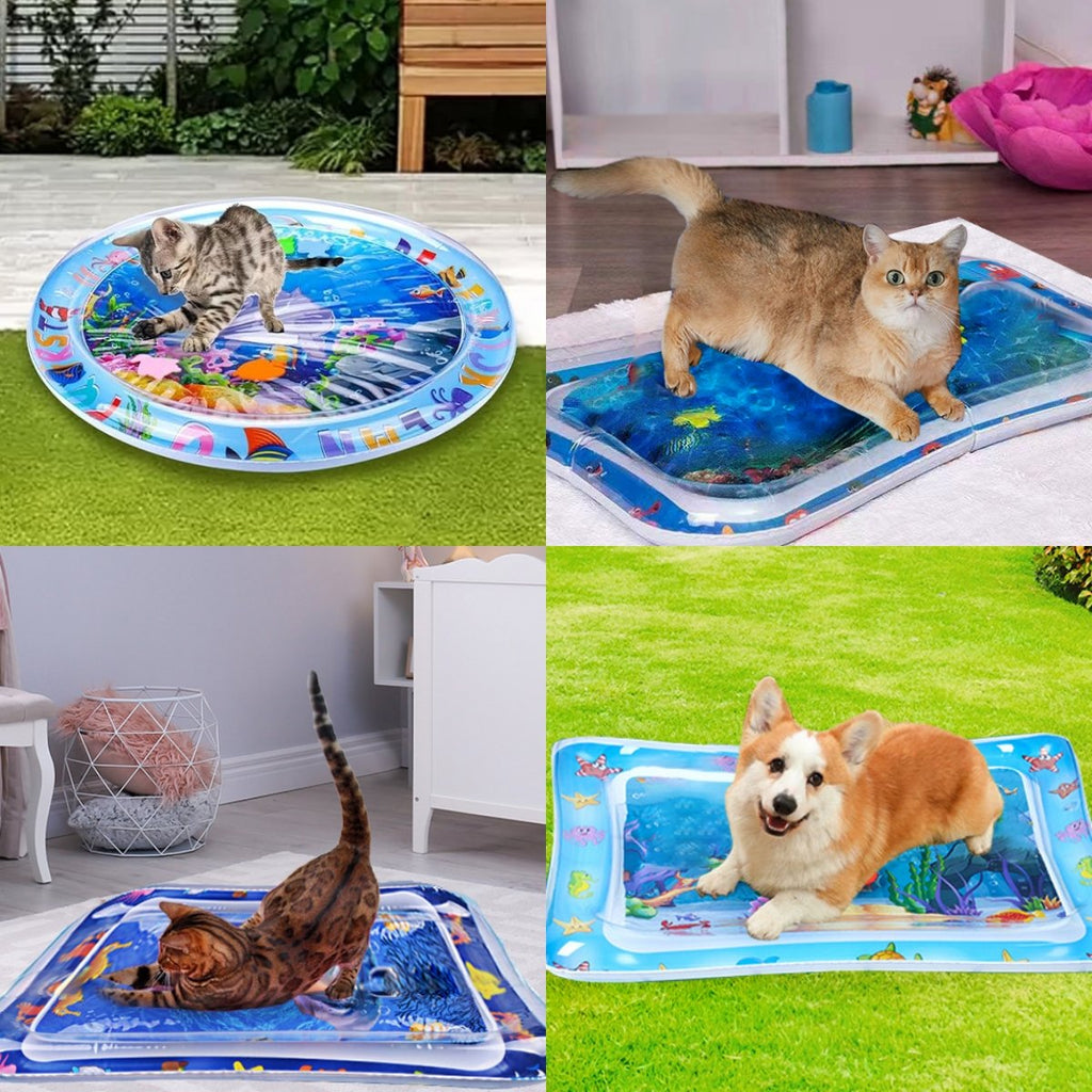 Tapis d'eau pour animal de compagnie – jouet interactif avec poissons flottants + tapis rafraîchissant pour l'été