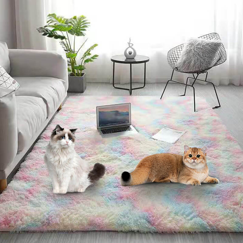 Tapis de sol en peluche dégradé de couleurs