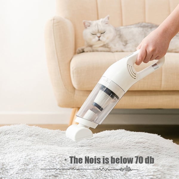 MAINTENANT !!! Aspirateur à main classique pour animaux | Léger, nettoyage portable | Comprend 3 accessoires