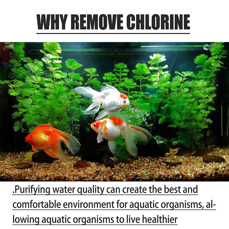 Comprimés déchlorants pour bassins et aquariums