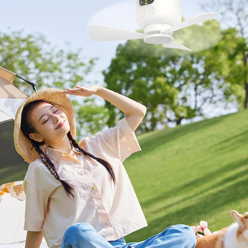 Ventilateur de plafond rechargeable avec éclairage LED !