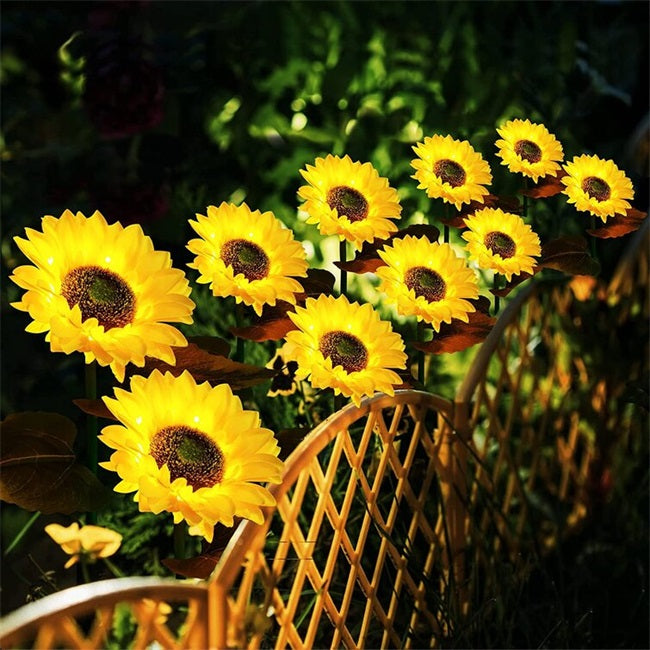 Lampes solaires Tournesol – Allumage/Extinction automatique, 14h d'éclairage, Étanchéité IP65