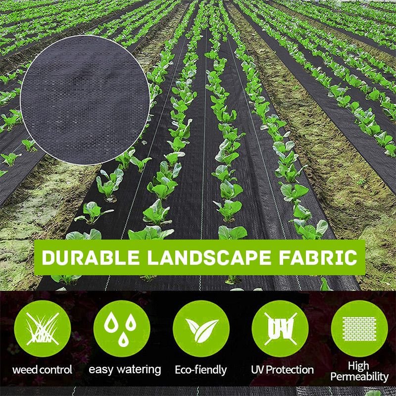 pour profiter d'une toile de paillage tissée haut de gamme
