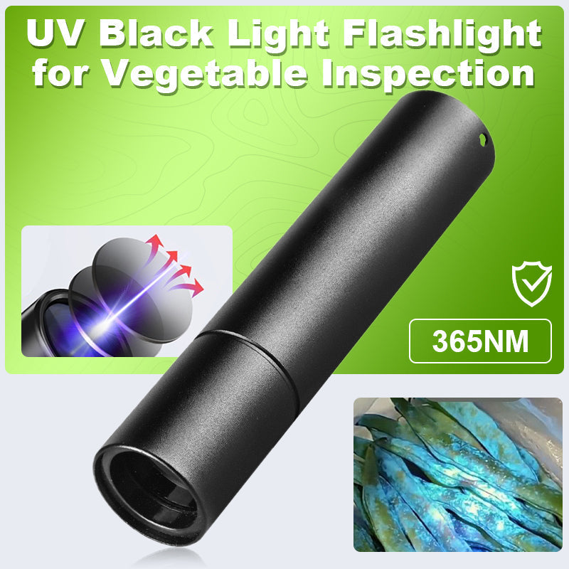Lampe de poche UV à lumière noire pour l'inspection des légumes