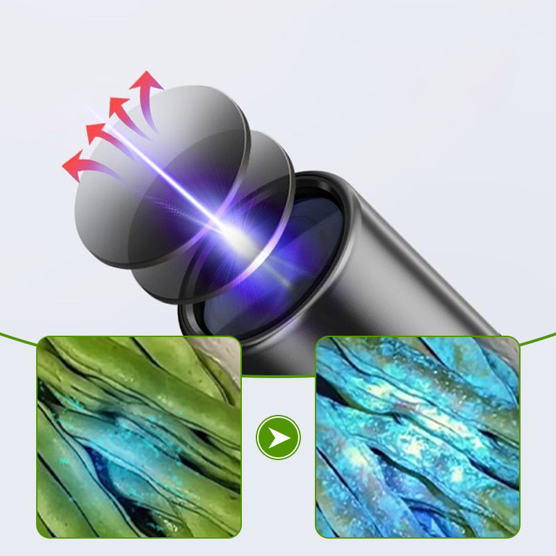 Lampe de poche UV à lumière noire pour l'inspection des légumes