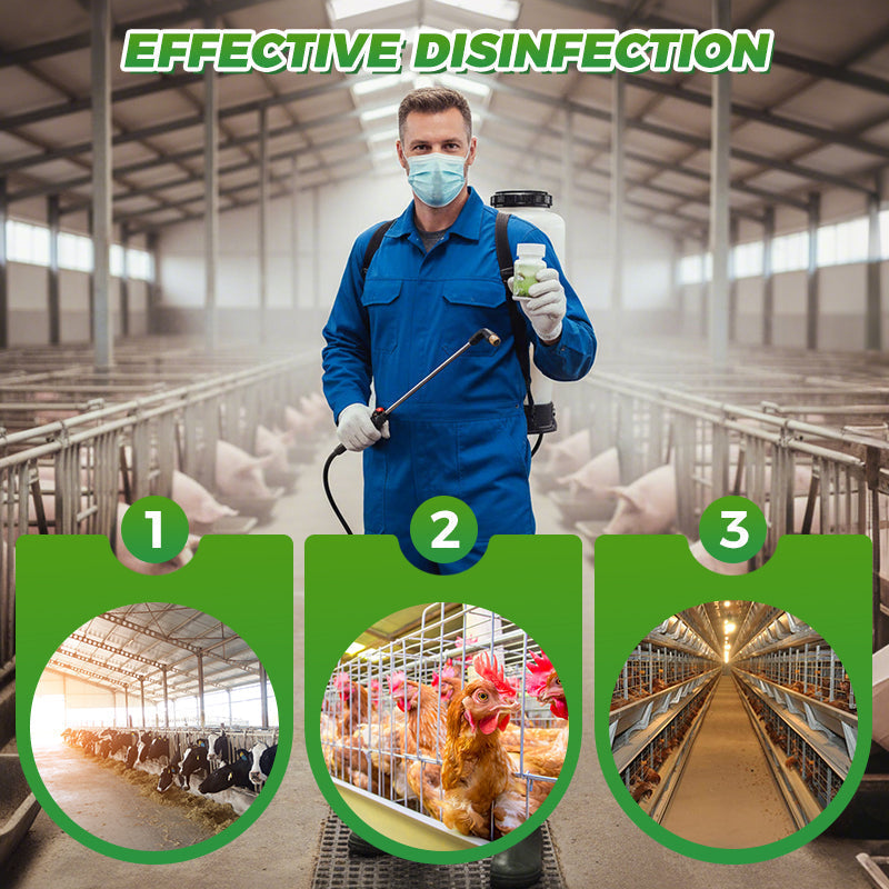 Comprimés désinfectants effervescents pour les élevages