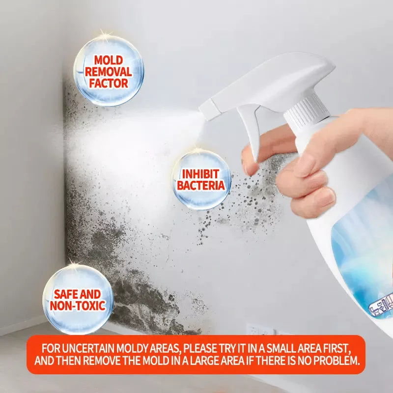 Spray anti-moisissures ultra-efficace 2025 - Prévient la repousse des moisissures
