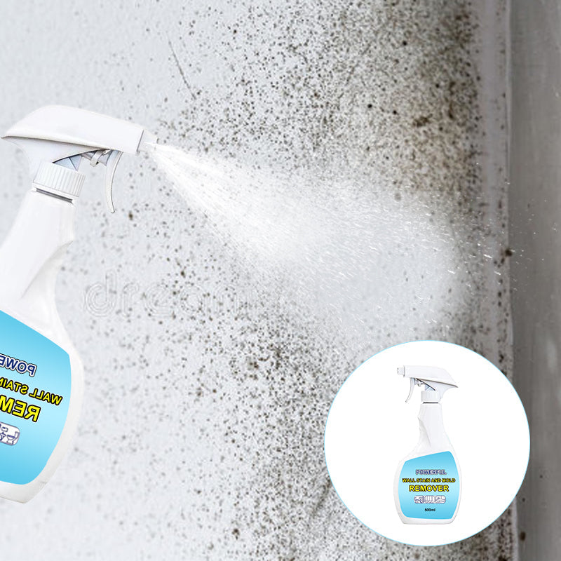 Spray anti-moisissures ultra-efficace 2025 - Prévient la repousse des moisissures