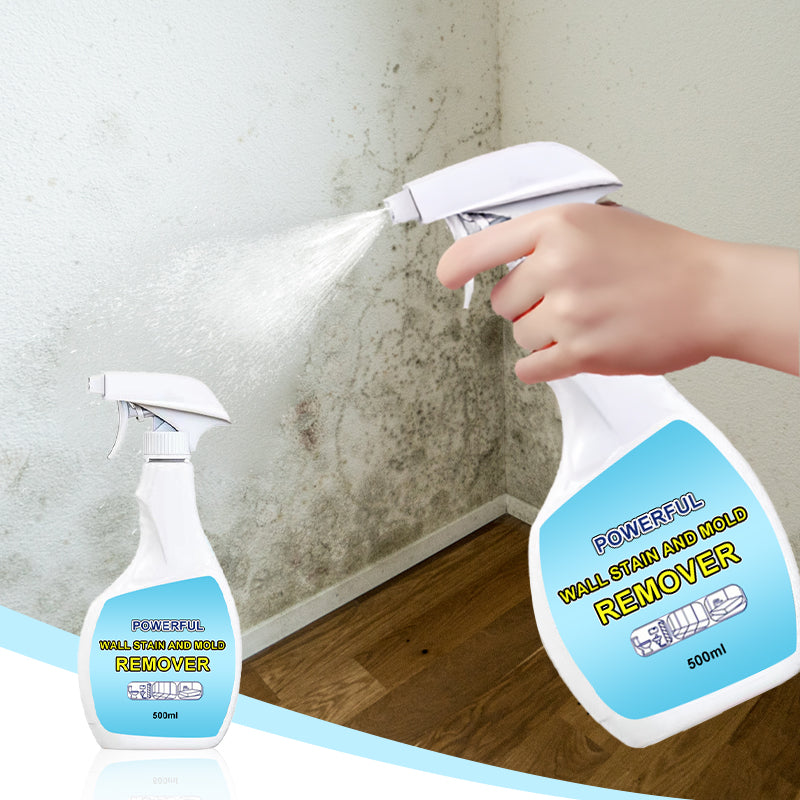 Spray anti-moisissures ultra-efficace 2025 - Prévient la repousse des moisissures