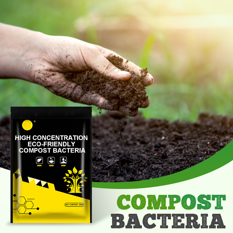 Bactéries de compostage écologiques à haute concentration
