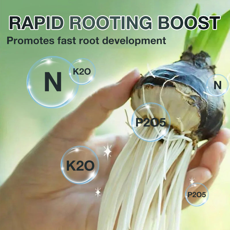 Solution nutritive pour plantes hydroponiques