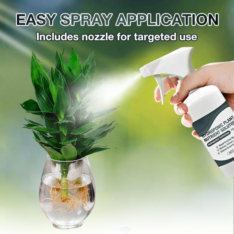 Solution nutritive pour plantes hydroponiques