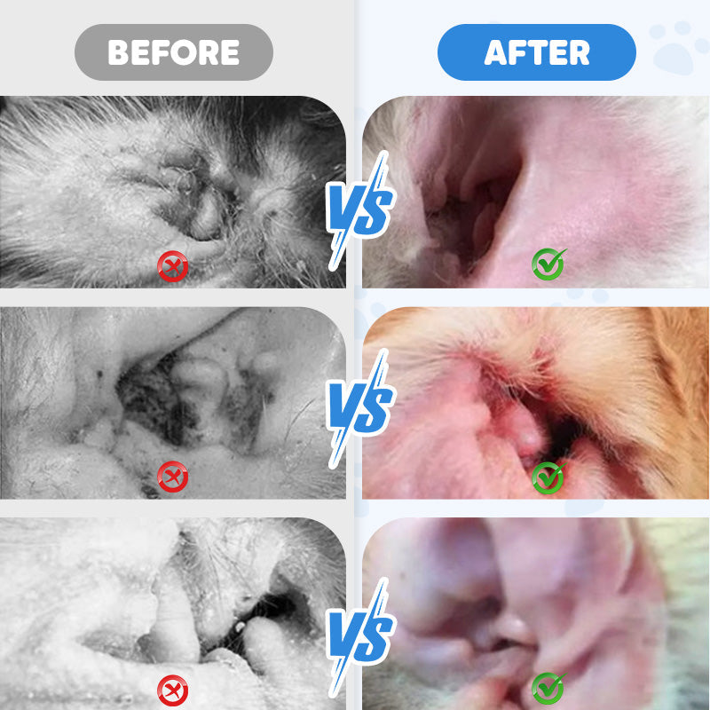 Nettoyant auriculaire pour animaux – Formule douce à l'aloès apaisant pour chiens et chats, prévient les infections et les odeurs