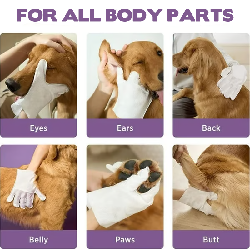 Gants Nettoyants et Désodorisants pour Animaux Sans Rinçage