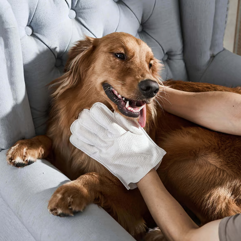 Gants Nettoyants et Désodorisants pour Animaux Sans Rinçage