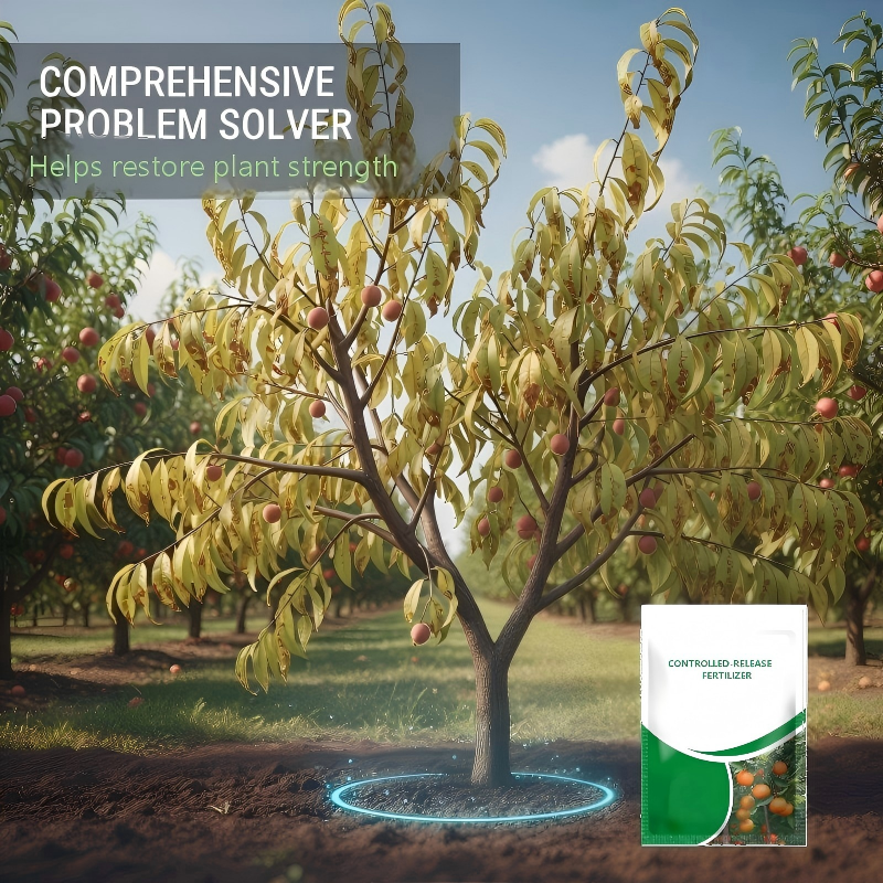 Engrais à Libération Lente pour Fruits