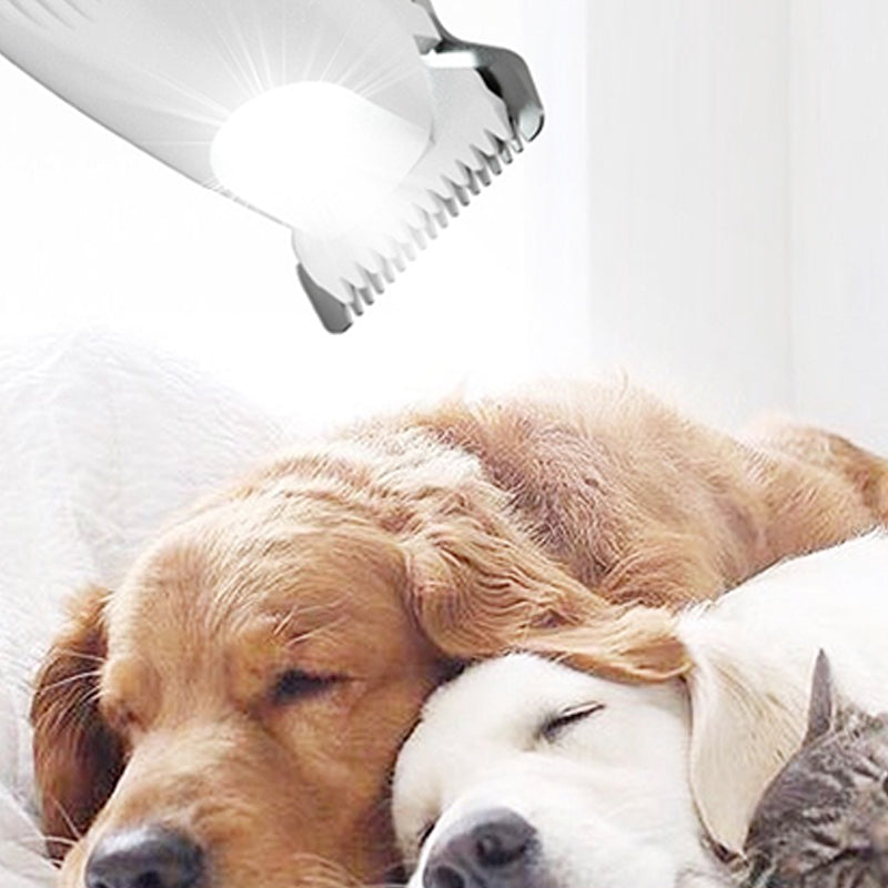 Rasoir électrique adapté aux animaux de compagnie avec lumière LED