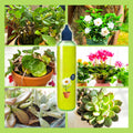 【Nutriment polyvalent pour plantes d'intérieur et d'extérieur】—Une bouteille en main, le monde est à vous !