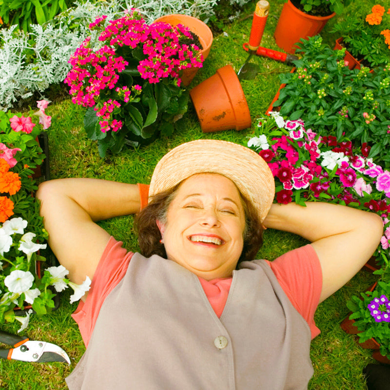 【Nutriment polyvalent pour plantes d'intérieur et d'extérieur】—Une bouteille en main, le monde est à vous !
