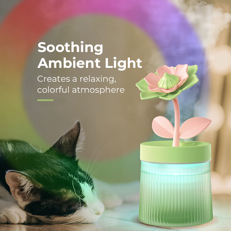 Personnalisez votre humidificateur Mist & Mood Flower avec ses deux modes de pulvérisation et sa veilleuse 7 couleurs