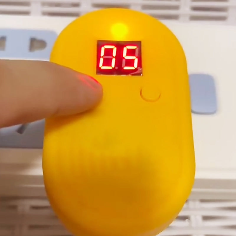 Thermoplongeur en acier inoxydable 2026