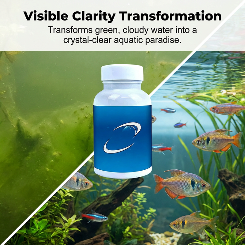 Comprimés effervescents pour purificateurs d'eau d'aquarium et de bassin