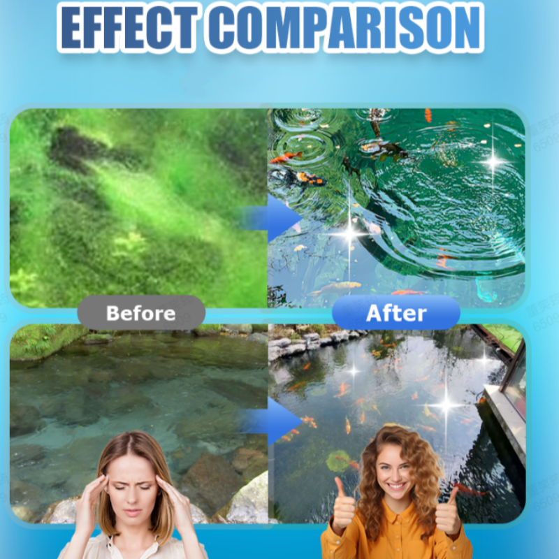 Comprimés effervescents pour purificateurs d'eau d'aquarium et de bassin