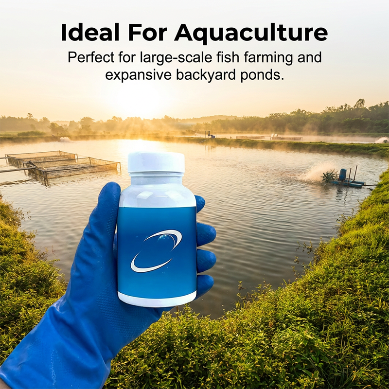 Comprimés effervescents pour purificateurs d'eau d'aquarium et de bassin