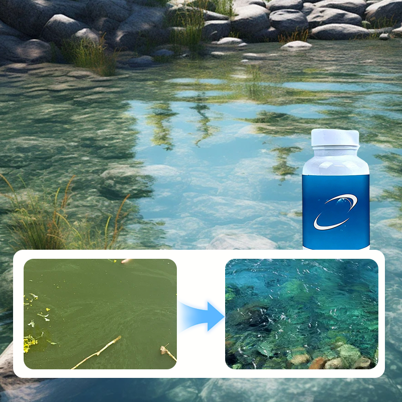 Comprimés effervescents pour purificateurs d'eau d'aquarium et de bassin