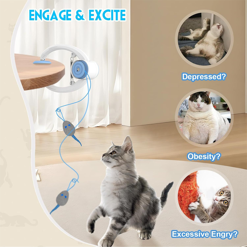 Jouets interactifs pour chats d'intérieur à suspendre à un crochet