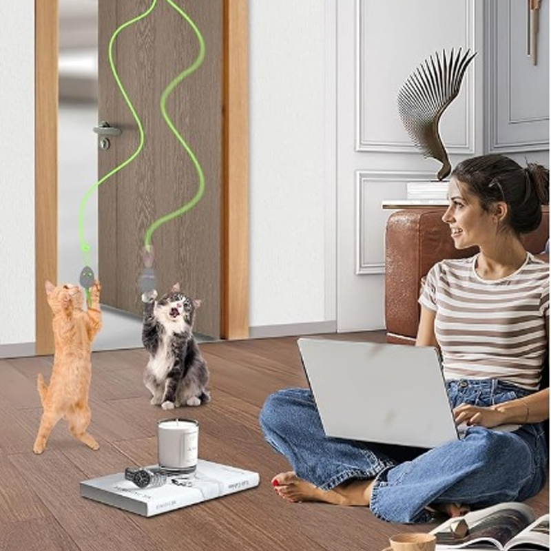Jouets interactifs pour chats d'intérieur à suspendre à un crochet