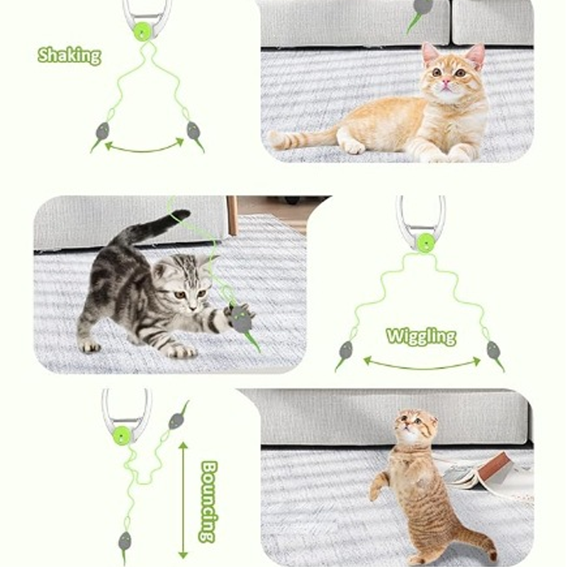 Jouets interactifs pour chats d'intérieur à suspendre à un crochet