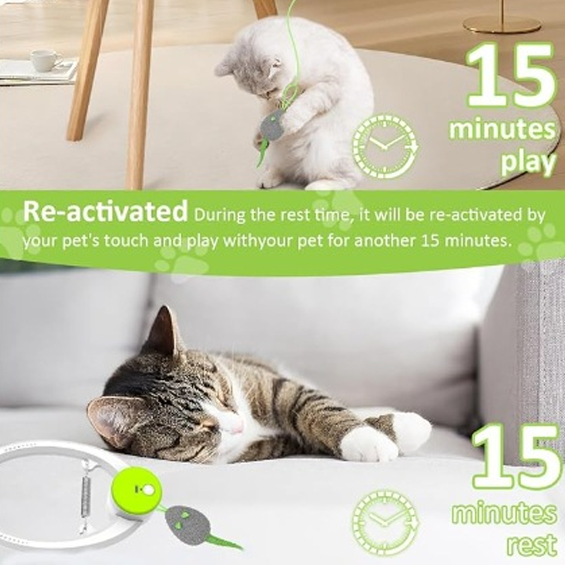 Jouets interactifs pour chats d'intérieur à suspendre à un crochet
