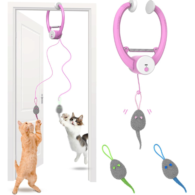 Jouets interactifs pour chats d'intérieur à suspendre à un crochet