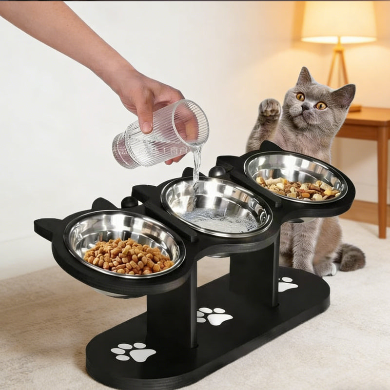 Mangeoire surélevée antidérapante à 3 bols pour animaux de compagnie !