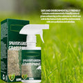 50 % Pousbo ? Spray de peinture pour gazon vert