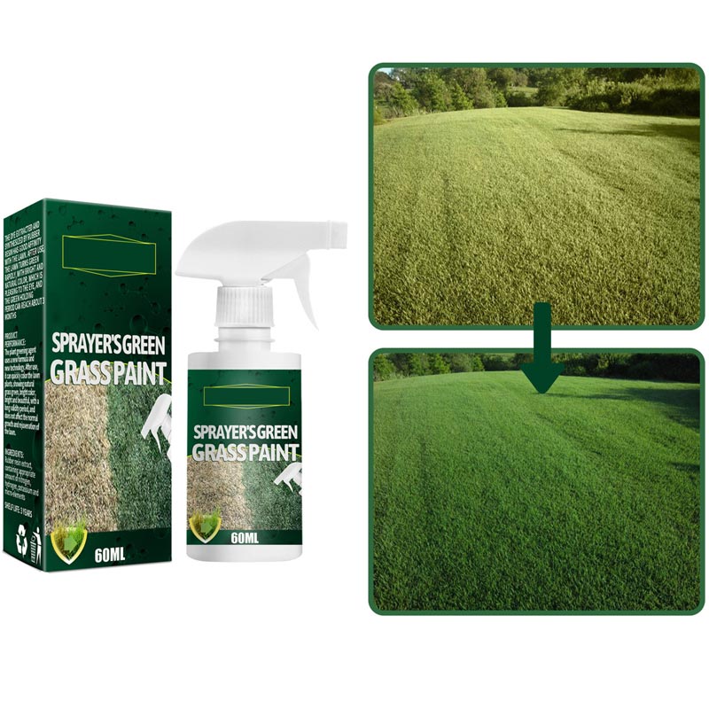50 % Pousbo ? Spray de peinture pour gazon vert