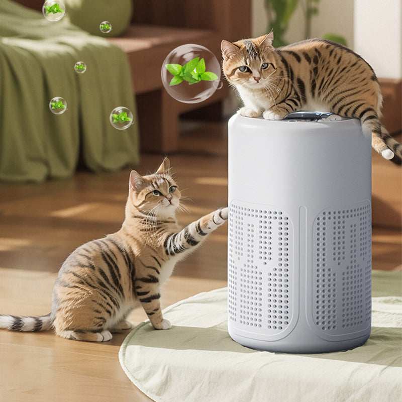 Purificateur d'air pour la maison avec filtre et tablettes d'aromathérapie