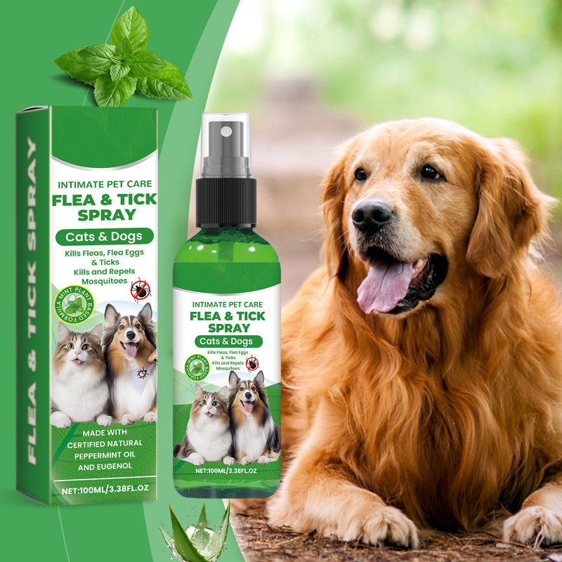Répulsif Naturel Puces et Tiques pour Chiens et Chats Protégez votre animal de compagnie des parasites