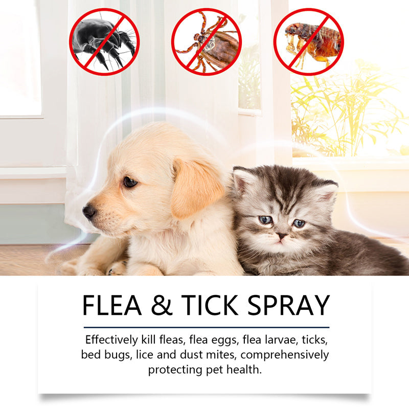 Répulsif Naturel Puces et Tiques pour Chiens et Chats Protégez votre animal de compagnie des parasites