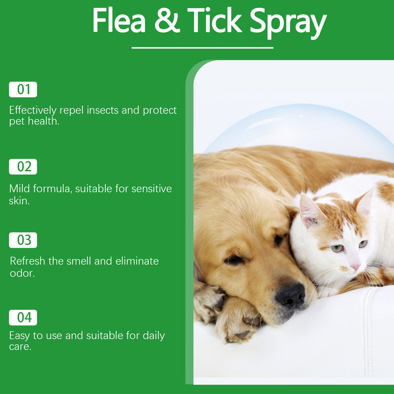 Répulsif Naturel Puces et Tiques pour Chiens et Chats Protégez votre animal de compagnie des parasites